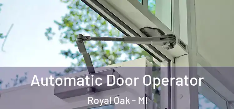 Automatic Door Operator Royal Oak - MI