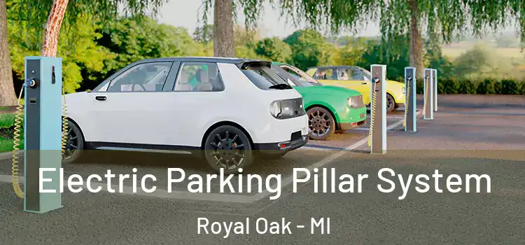 Electric Parking Pillar System Royal Oak - MI