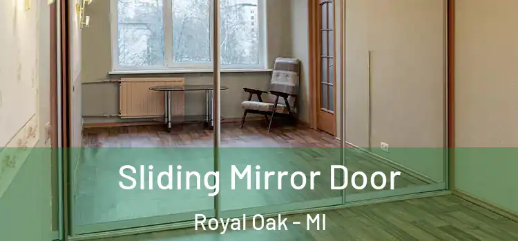  Sliding Mirror Door Royal Oak - MI